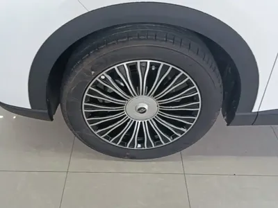 Chery 瑞虎8L