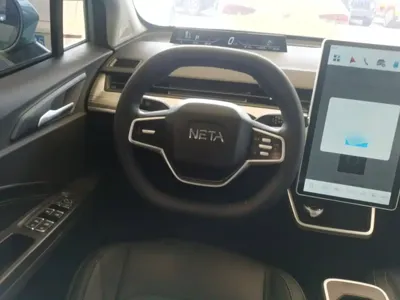 NETA Neta V