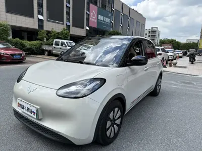Wuling Bingo