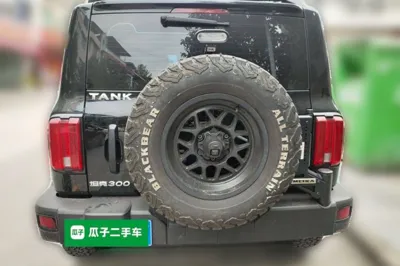 Tank 300