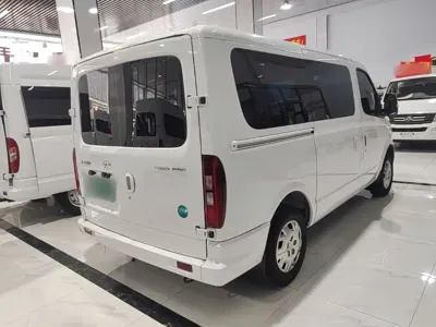 Maxus V80