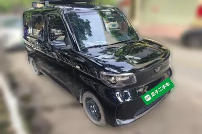 Wuling Zhiguang New Energy