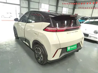 BYD Seagull