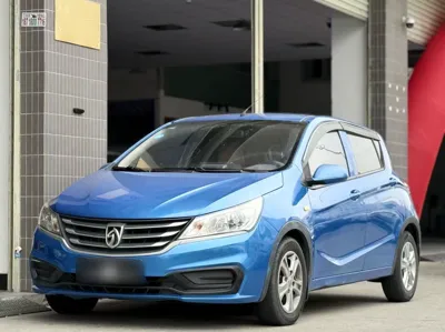 Baojun 310