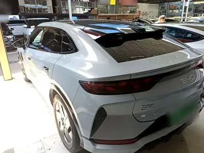 BYD L EV