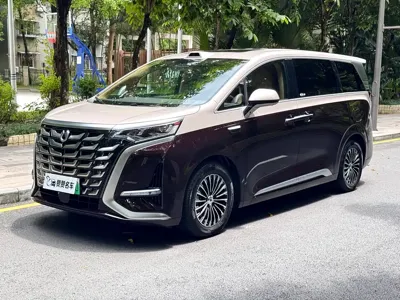 Denza Denza D9