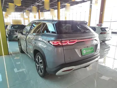 BYD L DM-i