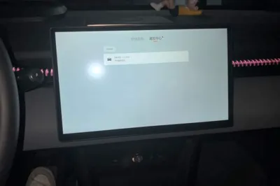 Zeekr X