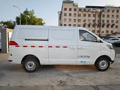 Ruixiang V2 EV
