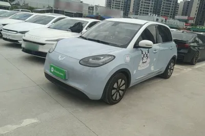 Wuling Bingo
