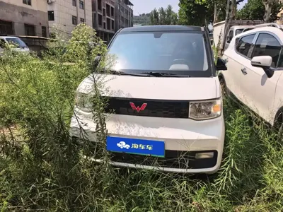 Wuling MINIEV