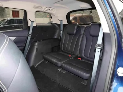 BYD MAX New Energy