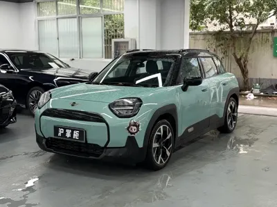 MINI MINI ACEMAN EV