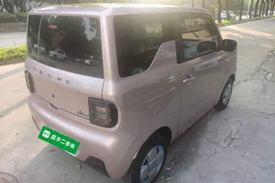 Geely Galaxy Panda