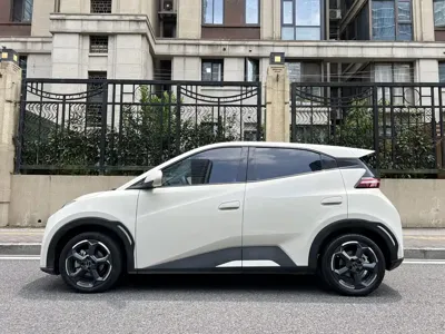 BYD Seagull