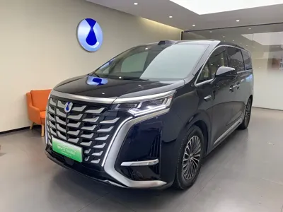 Denza Denza D9