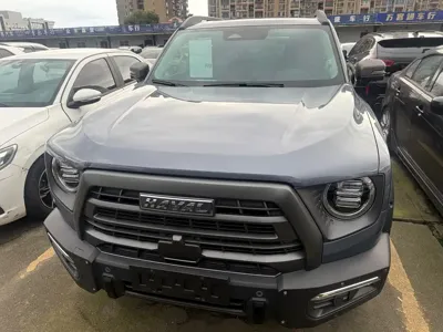 Haval Big Dog