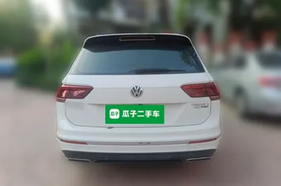 Volkswagen Tiguan L New Energy