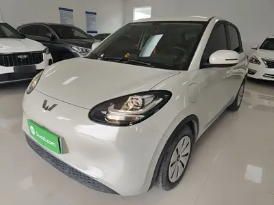 Wuling Bingo