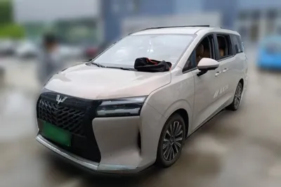 Wuling Wuling Starlight 730