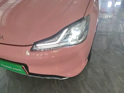 NETA Neta V