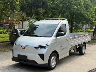 Wuling 五菱扬光电卡