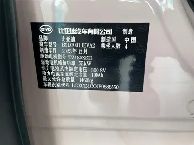 BYD Seagull