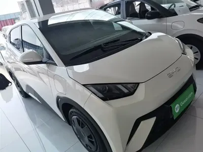BYD Seagull