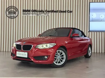 BMW 2 Series (Import)