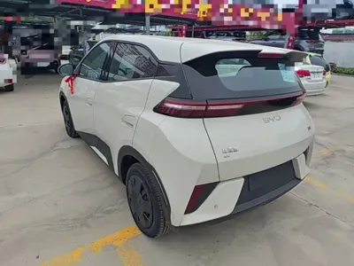BYD Seagull
