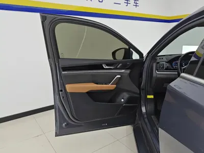 BYD Tang New Energy
