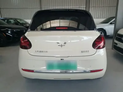 Wuling Bingo