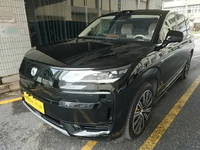 Denza 腾势N9