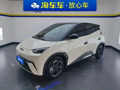 BYD Seagull