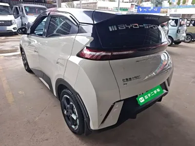 BYD Seagull