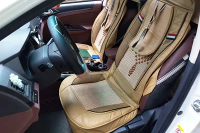 BYD Surui