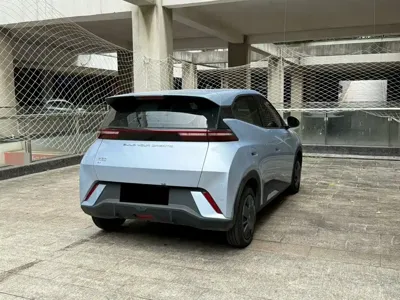 BYD Seagull