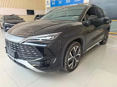 BYD L DM-i