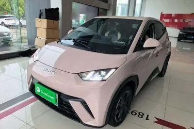 BYD Seagull