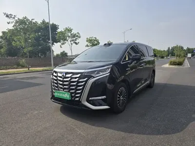 Denza Denza D9