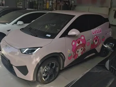 BYD Seagull