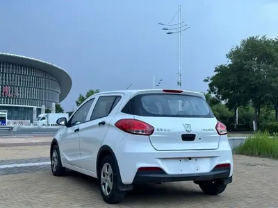 Baojun 310