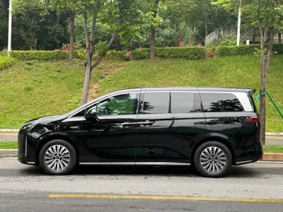 BYD Xia