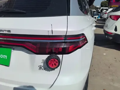 BYD Pro