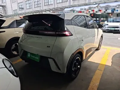 BYD Seagull