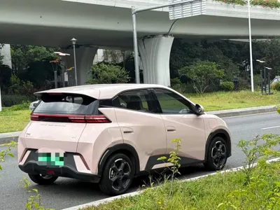 BYD Seagull
