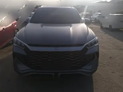 BYD Pro New Energy