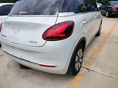 Wuling Bingo
