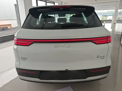 BYD Pro New Energy