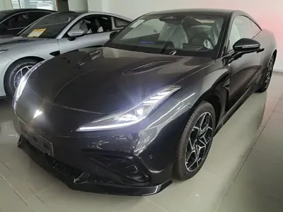 NETA Neta GT